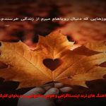 دانلود آهنگ بارون از هایده و پیشرو و شایع و مهیاد